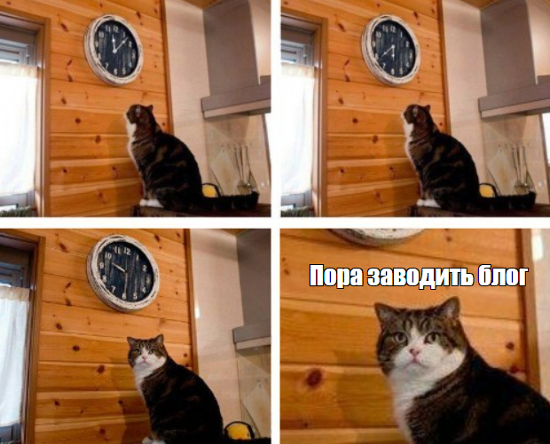 Я завел блог
